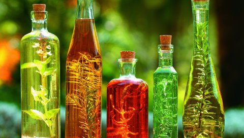 бутылки, масло, растения, зеленый фон