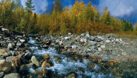 камни, лето, река