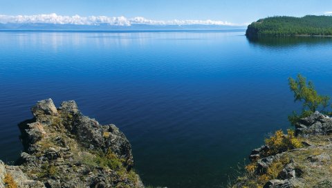 море, река, трава