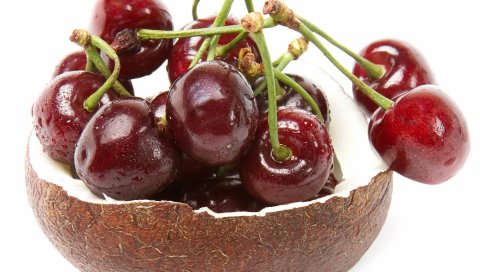 вишня, кокос падает, хвосты, на белом фоне