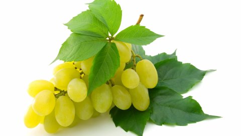 винограда, кисть, белый фон, листья