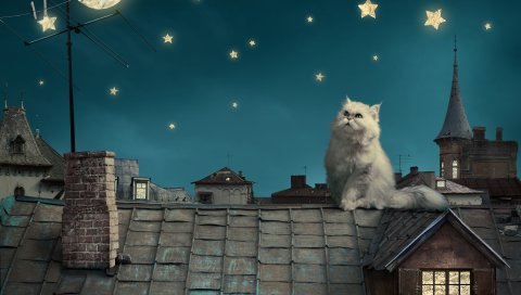 белый персидский кот, котенок, сказка, фантастика, крыши, дома, небо, ночь, звезды, луна ,