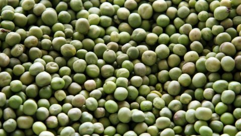 горох, куча, зеленые