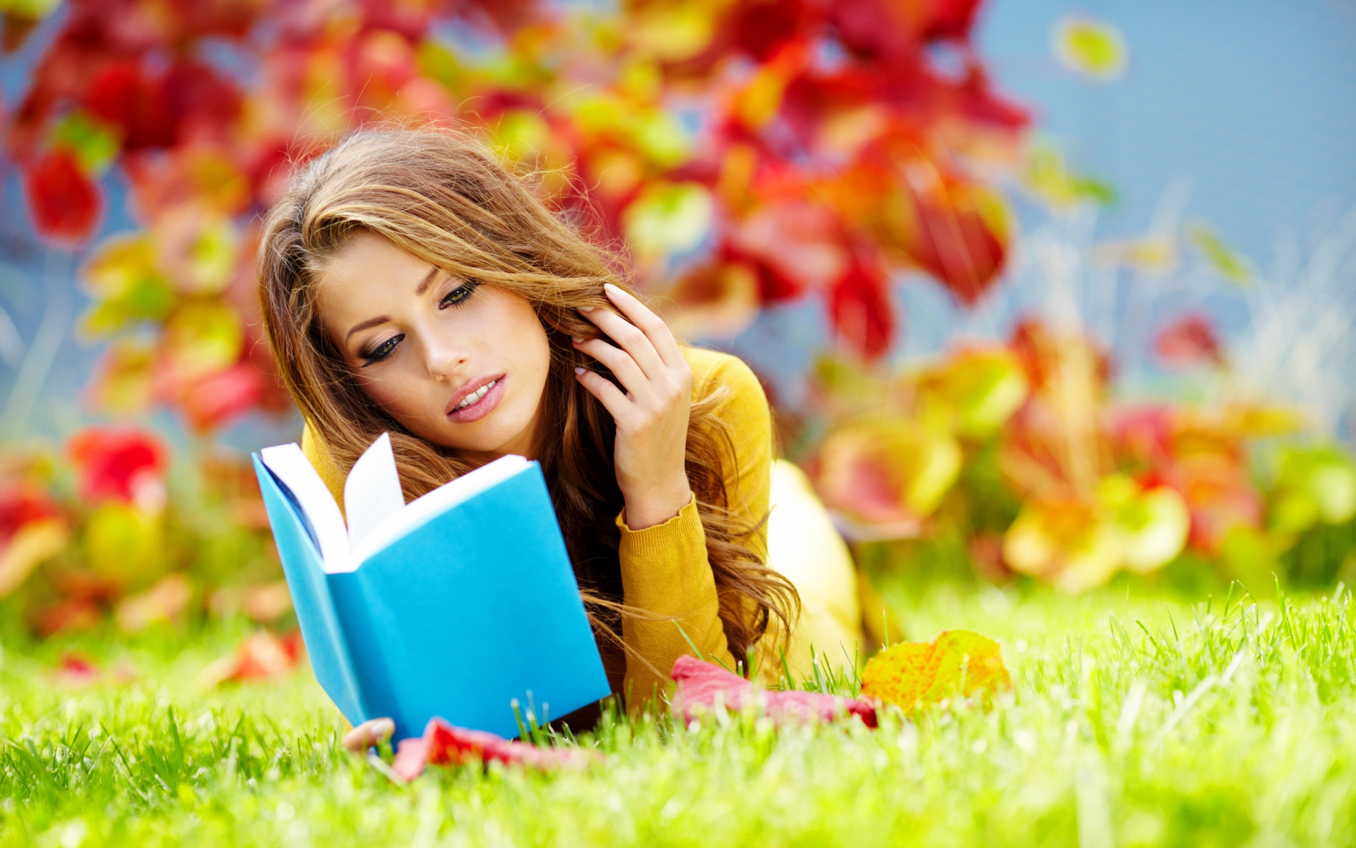 Картинки Девушка, трава, осень, книга, чтение фото и обои на рабочий стол
