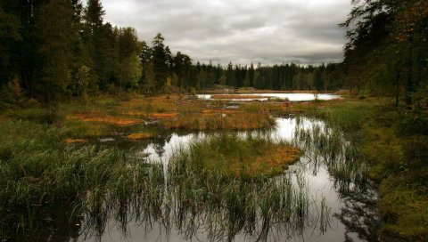 Трава, река, небо, красивая