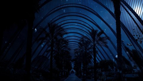 Парк, теплица, свет, ночь