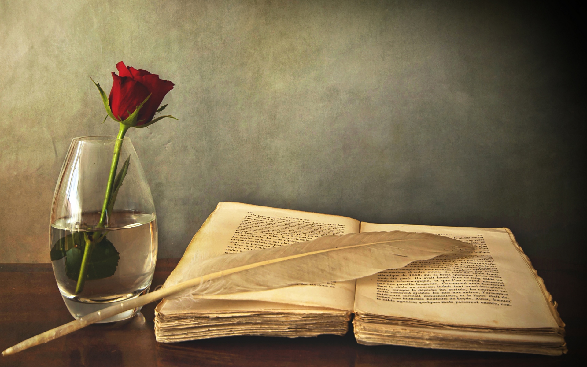 Картинки Книга, старая, ручка, стол, ваза, роза, красный фото и обои на рабочий стол