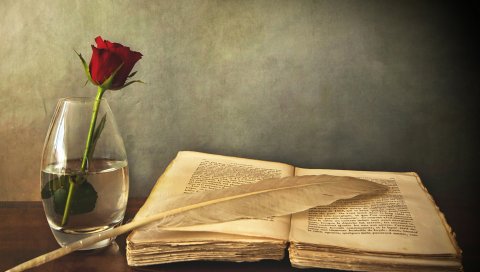Книга, старая, ручка, стол, ваза, роза, красный