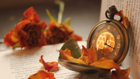 Книги, розы, цветы, часы, карман, лепестки
