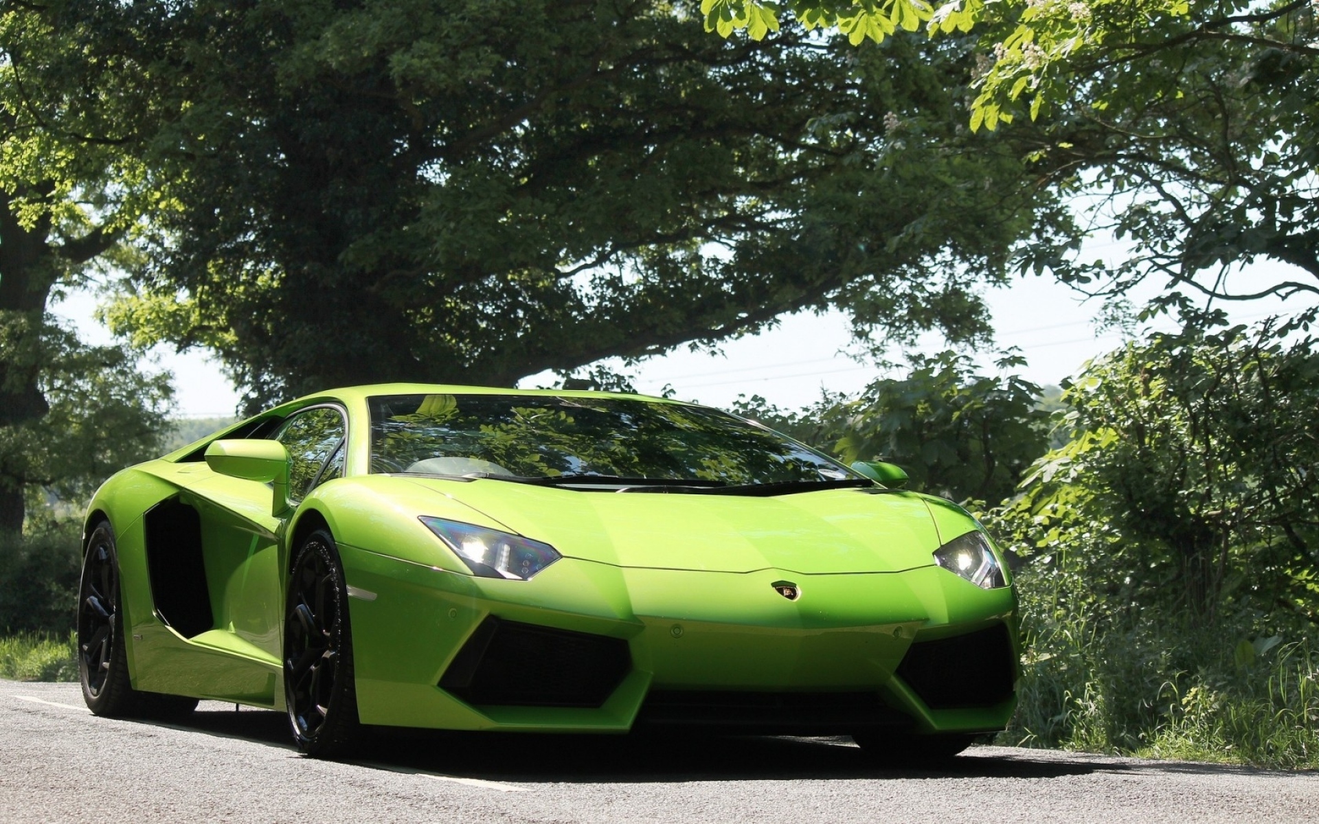 Картинки Lamborghini, aventador, вид спереди, зеленый, огни, деревья, небо фото и обои на рабочий стол
