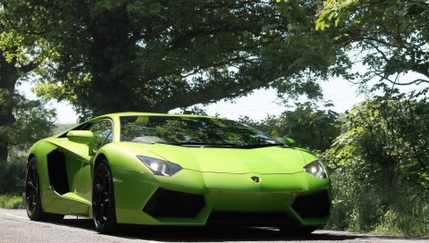 Lamborghini, aventador, вид спереди, зеленый, огни, деревья, небо