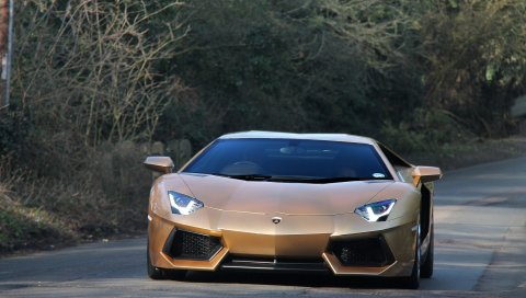 Lamborghini, aventador, вид спереди, зеленый, дорога, деревья