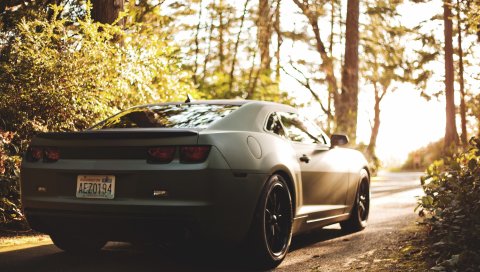 Bokeh, chevrolet, camaro, матовый, черный