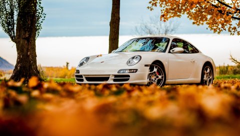 Деревья, осень, 911, белый, porsche, небо, листья