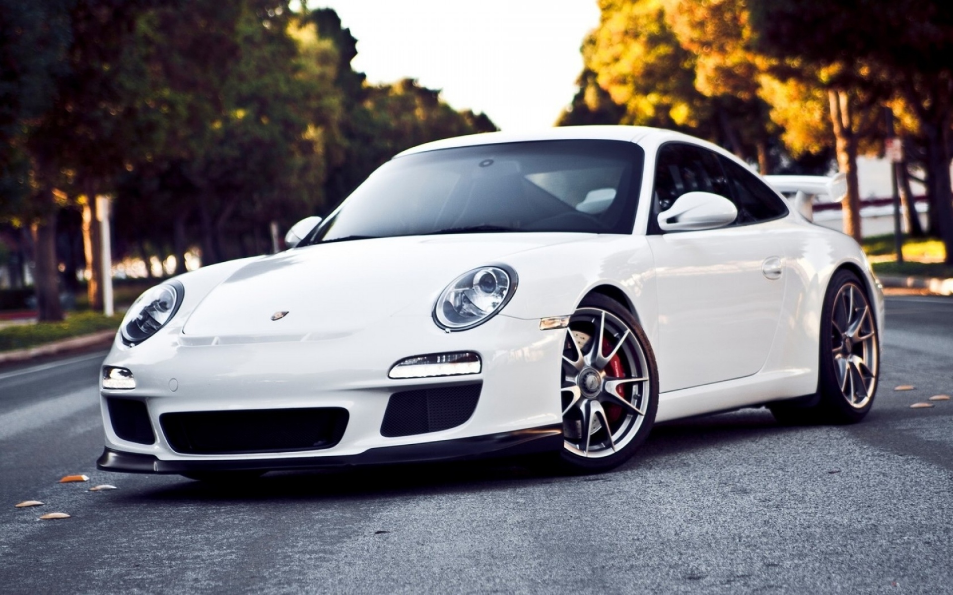 Картинки Белый, porsche, дорога фото и обои на рабочий стол