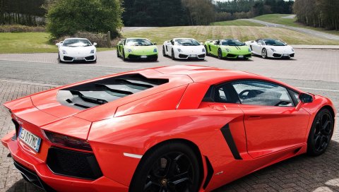 Lamborghini, aventador, суперкар, галлардо