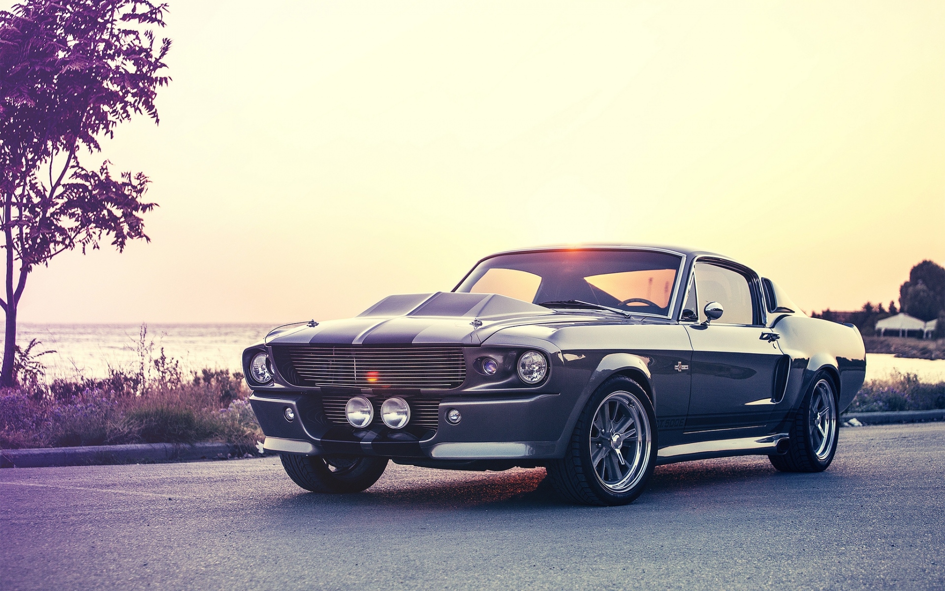 Картинки Ford, shelby, mustang, gt500e, фото и обои на рабочий стол