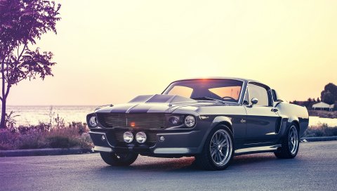 Ford, shelby, mustang, gt500e,