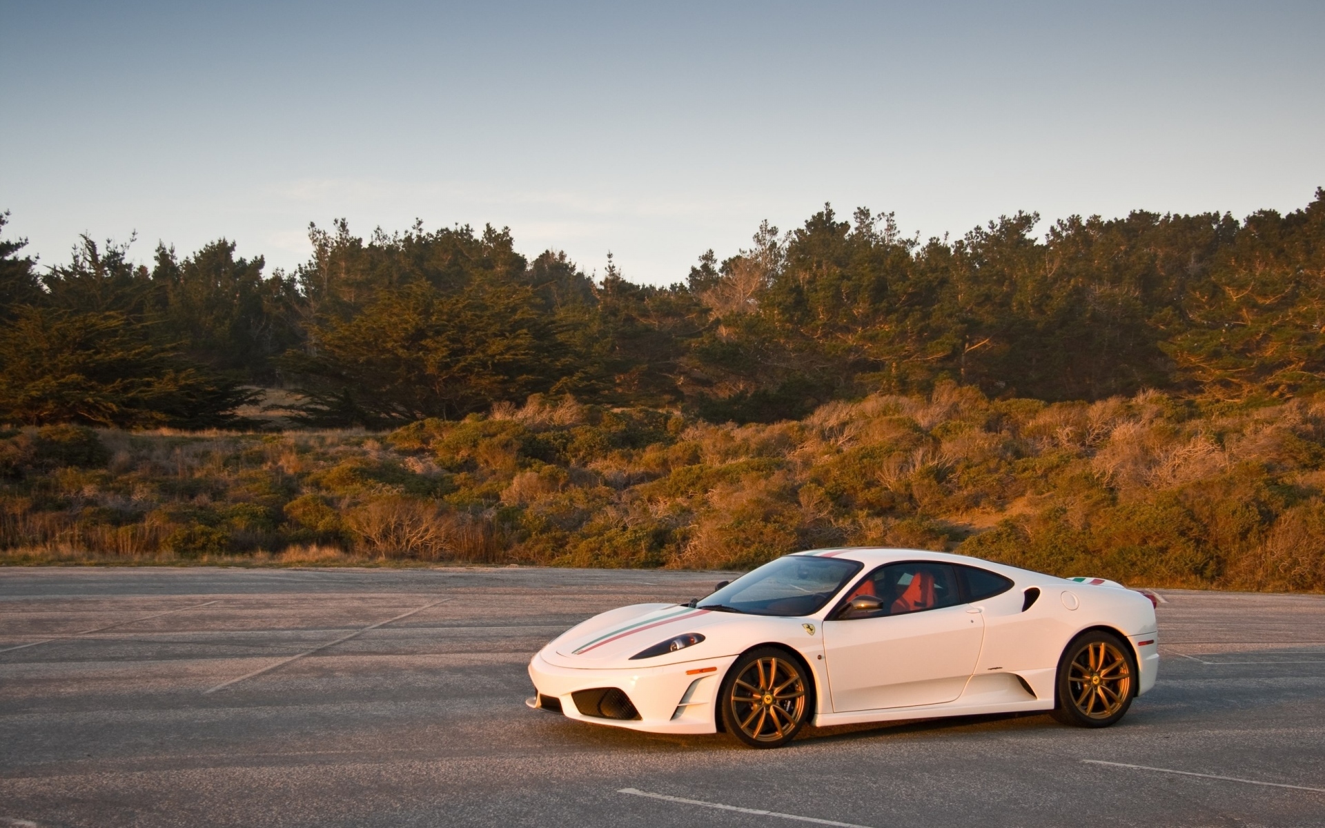 Картинки Ferrari, белый, стильный, спортивный автомобиль фото и обои на рабочий стол