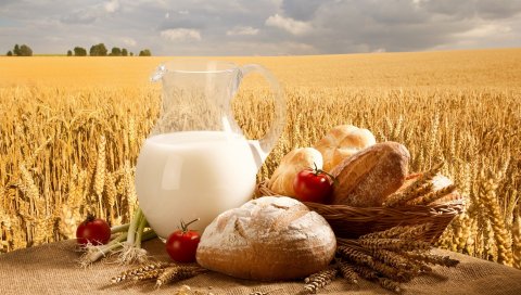 Молоко, кувшин, хлеб, рулеты, корзина, помидоры, лук, пшеница, поле, небо