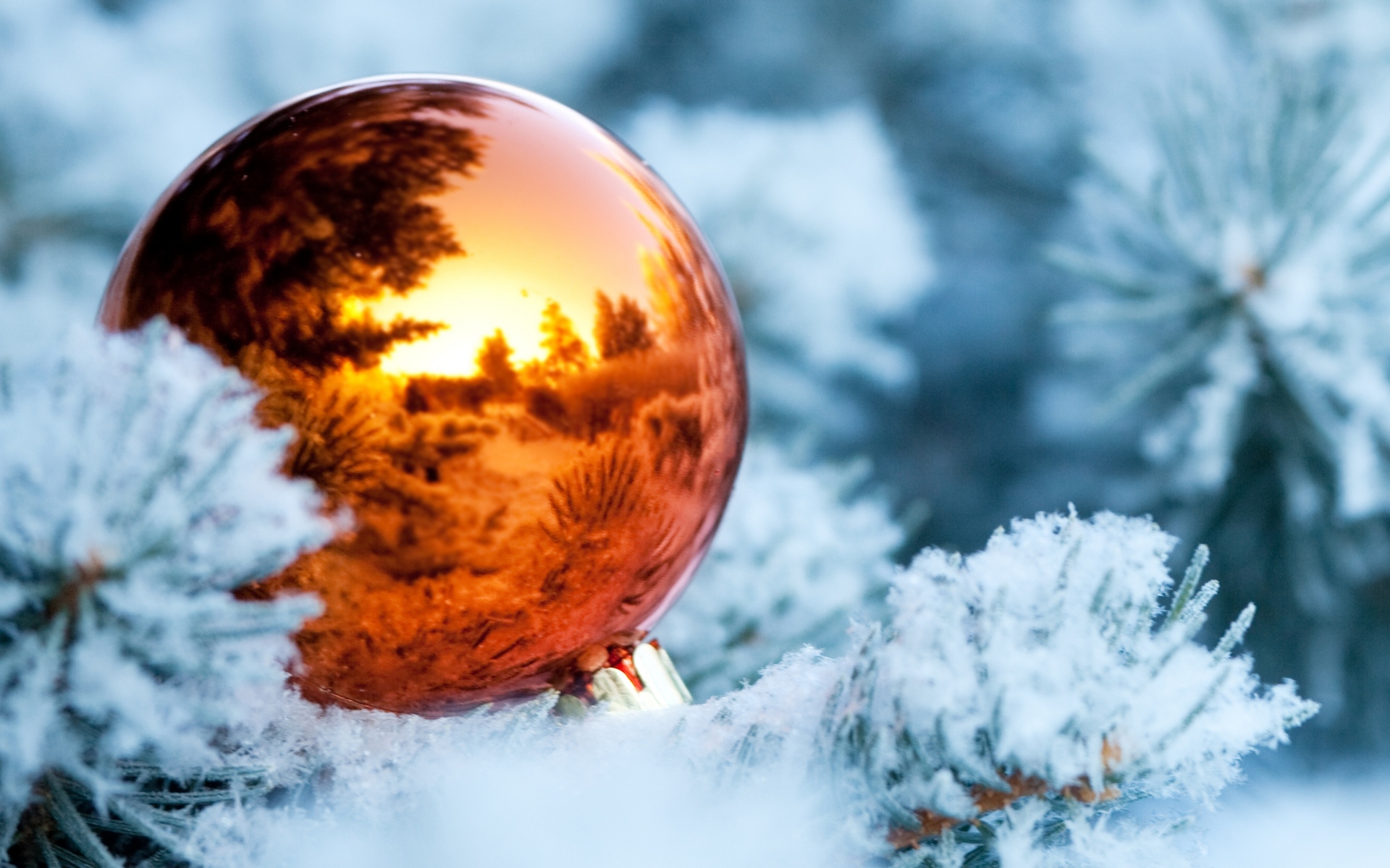 Картинки зима, ветки, снег, ель, дерево, мяч, рождество украшения, отражение, новый год фото и обои на рабочий стол