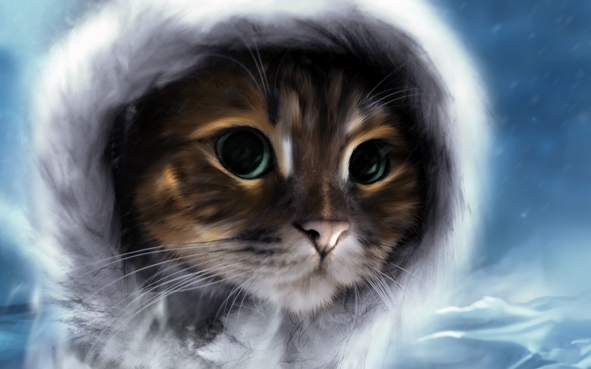 Картинка на страницу. Фэнтези кошки. Кот арт. Аватар кот. Кот в капюшоне.