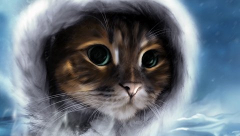кошка, лицо, цвет кожи, мех рисунок