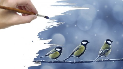 запястья, руки, иллюстрация, ветка, синицы, птицы, снег