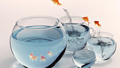 золотых рыбок, аквариум, вода, прыгать
