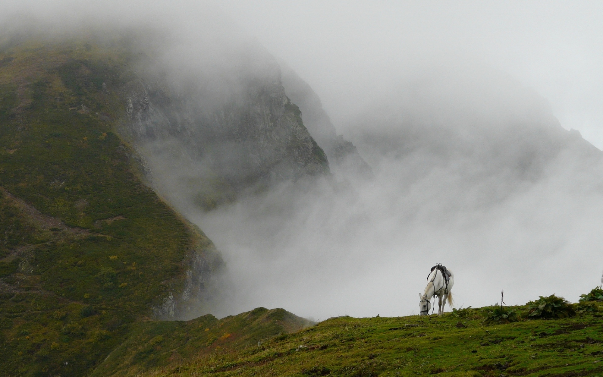 Горы Кавказа в тумане
