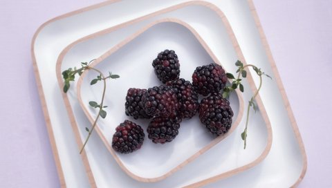 Ежевики, ягоды, вкусные, полезные, тарелки
