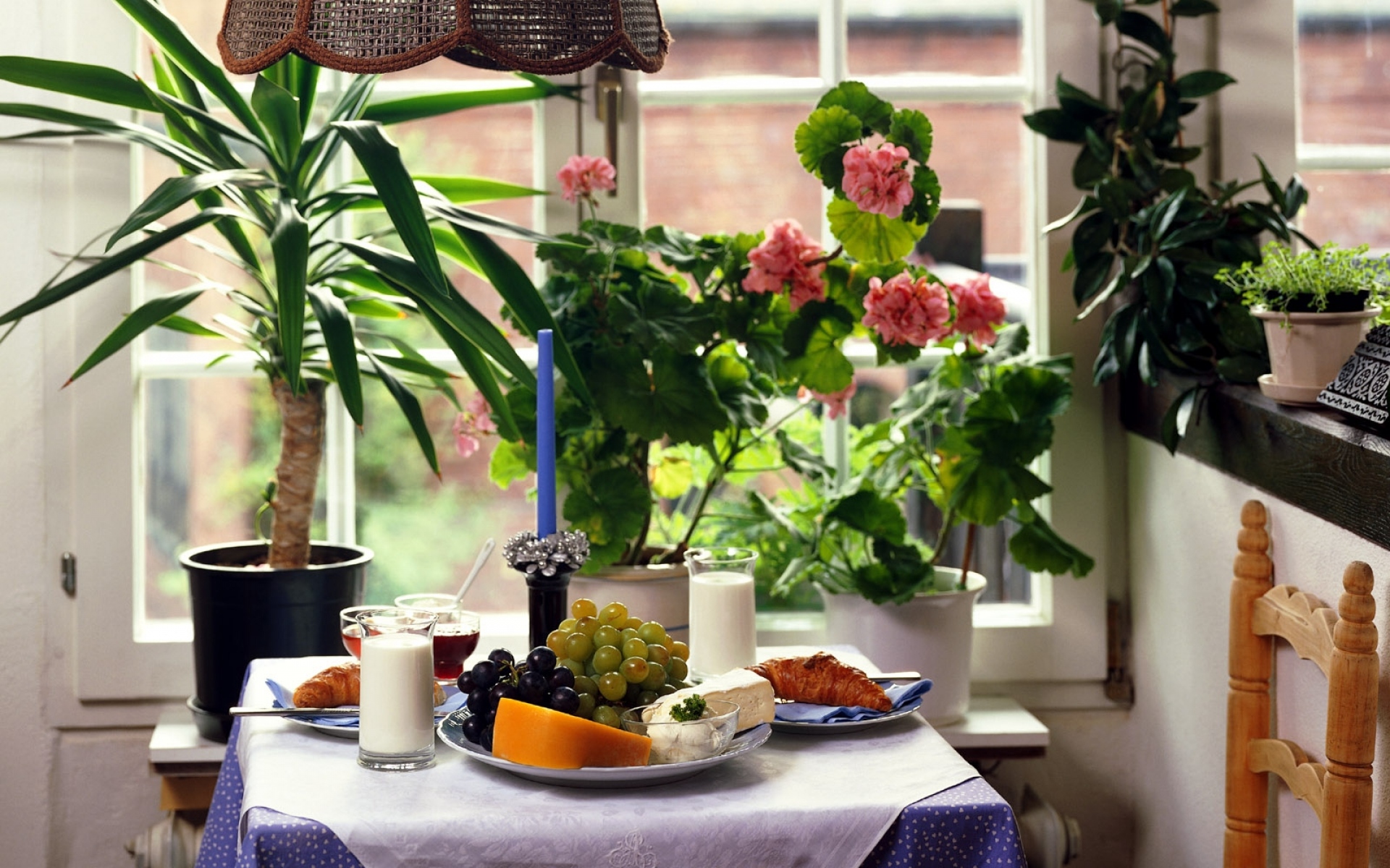 Home romance. Завтрак на балконе. Цветы на кухне уют в доме. Красивый завтрак на балконе. Цветы на кухне уют в доме фото.