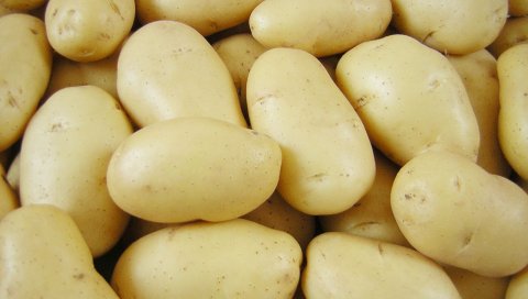 Овощи, картофель, сырой