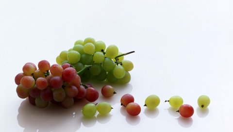 Виноград, сорт, фрукты