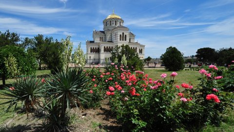 Украина, фотографии, цветы, растения, здания