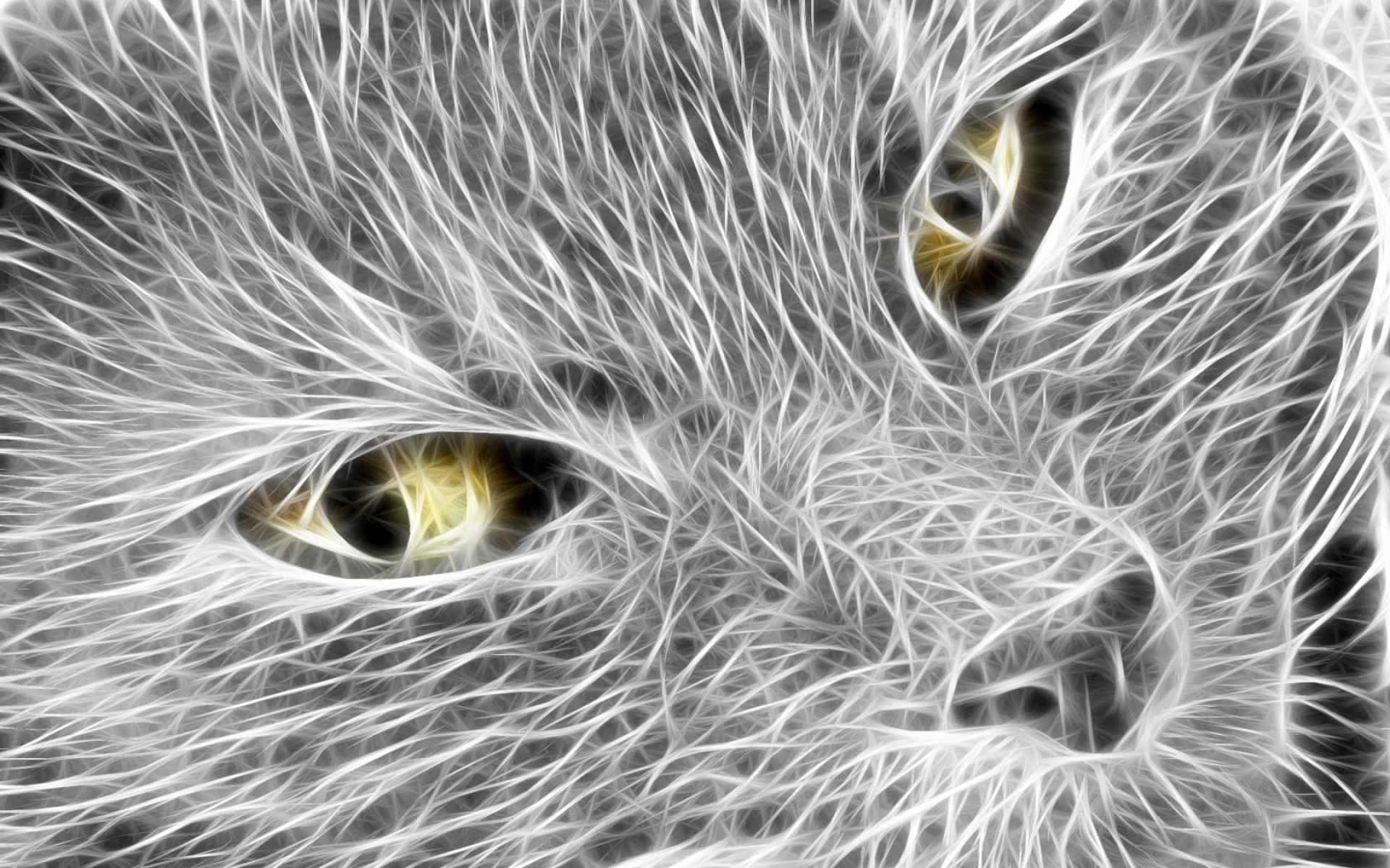 Картинки Кошка, лицо, свет, линии фото и обои на рабочий стол