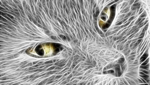 Кошка, лицо, свет, линии