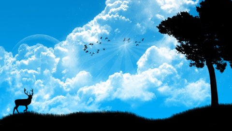 Олень, природа, небо, дерево