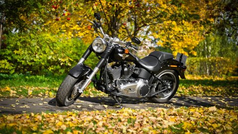 Harley, велосипед, листья, осень