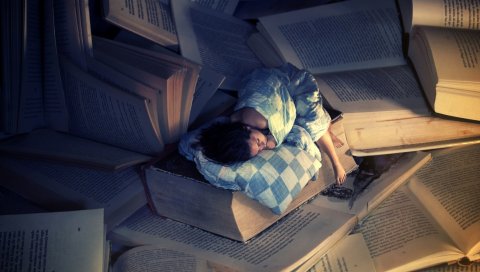 Сон, книги, девушка