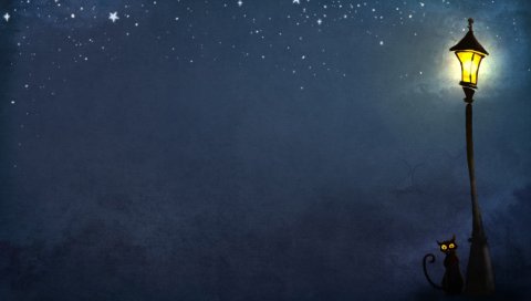 Кошка, ночь, огни
