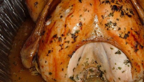 курицы, приготовленные на гриле, питание, кора