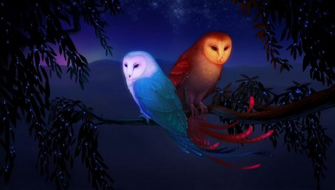 совы, ночь, птицы, ветви