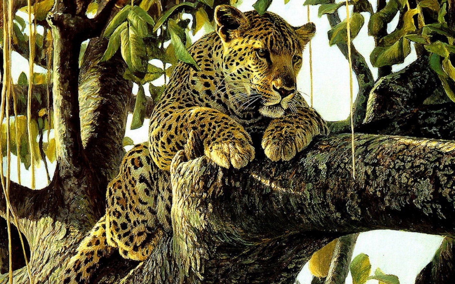 Картинки Леопард, хищник, рисунок, искусство фото и обои на рабочий стол