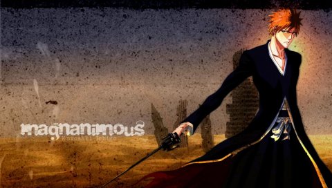Отбеливатель, ichigo, bankai