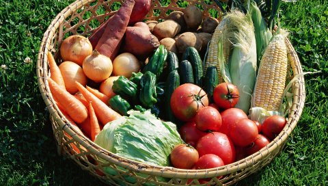 Овощи, морковь, кукуруза, капуста, перец