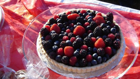 Малина, ежевика, клюква, миска, ягоды