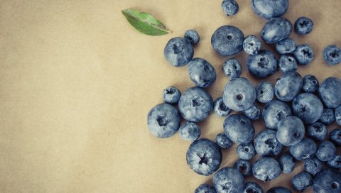 Клюква, ягоды, рухнули