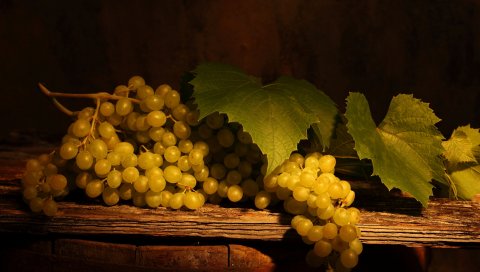 Виноград, ветка, фрукты, вкусные