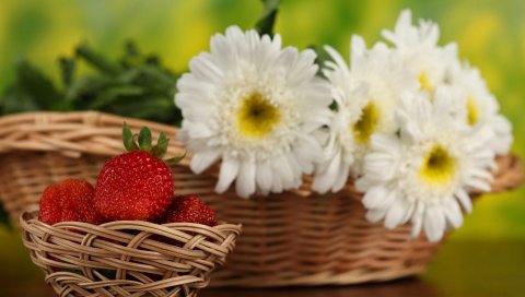 Клубника, цветы, корзина, ягоды